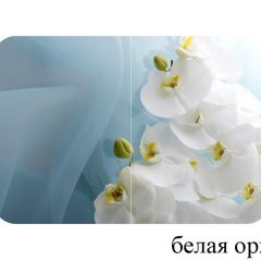 БОСТОН опоры Триумф в Пуровске - purovsk.mebel24.online | фото 13