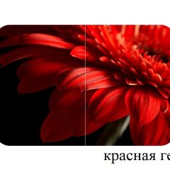 БОСТОН опоры Триумф в Пуровске - purovsk.mebel24.online | фото 27