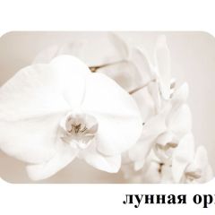 БОСТОН опоры Триумф в Пуровске - purovsk.mebel24.online | фото 33