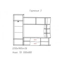 Гостиная ГАРМОНИЯ-3 (ЦРК.ГРМ.03) в Пуровске - purovsk.mebel24.online | фото 2