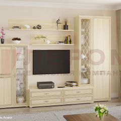 Гостиная Карина Композиция 12 (Ясень Асахи) в Пуровске - purovsk.mebel24.online | фото