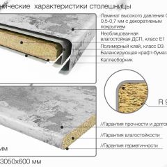 Кухонный фартук со столешницей (А-01) в едином стиле (3050 мм) в Пуровске - purovsk.mebel24.online | фото 6