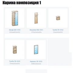 Прихожая Карина (модульная) в Пуровске - purovsk.mebel24.online | фото 4