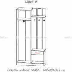 Прихожая София 8 в Пуровске - purovsk.mebel24.online | фото 2