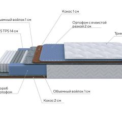 PROxSON Матрас Active Duo M/F (Ткань Трикотаж Эко) 90x190 в Пуровске - purovsk.mebel24.online | фото 7