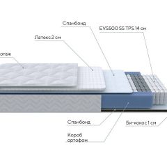 PROxSON Матрас Active Duo S/F (Ткань Трикотаж Эко) 120x200 в Пуровске - purovsk.mebel24.online | фото 7