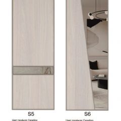 Шкаф-купе 1300 серии SILVER S3+S4+B2+PL4 (2 ящика+F обр.штанга) профиль «Серебро» в Пуровске - purovsk.mebel24.online | фото 11