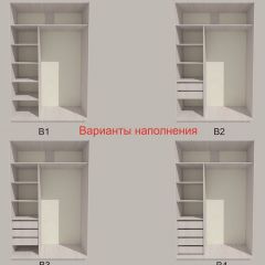 Шкаф-купе 1300 серии SILVER S3+S4+B2+PL4 (2 ящика+F обр.штанга) профиль «Серебро» в Пуровске - purovsk.mebel24.online | фото 5