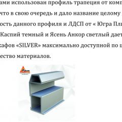 Шкаф-купе 1500 серии SILVER S1+S1+B2+PL2 (2 ящика+1 штанга+1 полка) профиль «Серебро» в Пуровске - purovsk.mebel24.online | фото 4