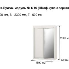 Шкаф-купе 1600 с зеркалом "Мария-Луиза 6.16" в Пуровске - purovsk.mebel24.online | фото 4