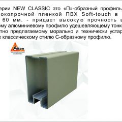 Шкаф-купе 1700 серии NEW CLASSIC K3+K3+B2+PL1 (2 ящика+1 штанга) профиль «Капучино» в Пуровске - purovsk.mebel24.online | фото 5