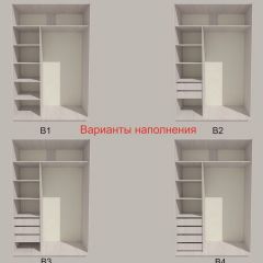 Шкаф-купе 1700 серии SILVER S1+S1+B2+PL2 (2 ящика+1 штанга+1 полка) профиль «Серебро» в Пуровске - purovsk.mebel24.online | фото 5