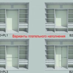 Шкаф-купе 2250 серии SILVER S3+S1+S4 B22+PL3 (по 2 ящика лев/прав+2 штанги) профиль «Серебро» в Пуровске - purovsk.mebel24.online | фото 6