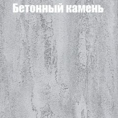 Шкаф-купе Бассо 1.0 (Дуб Крафт серый/Бетонный камень) 2 двери ЛДСП в Пуровске - purovsk.mebel24.online | фото 3