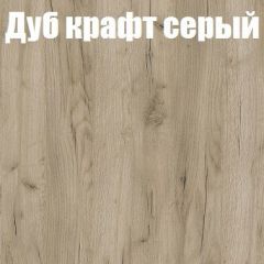 Шкаф-купе Бассо 1.0 (Дуб Крафт серый/Бетонный камень) 2 двери ЛДСП 2 зеркальные вставки в Пуровске - purovsk.mebel24.online | фото 4