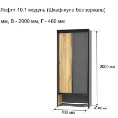 ОЛЬГА-ЛОФТ 10.1 Шкаф-купе без зеркала в Пуровске - purovsk.mebel24.online | фото 3