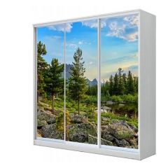 Шкаф-купе ХИТ 22-18-777 (620) в Пуровске - purovsk.mebel24.online | фото