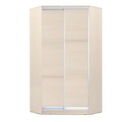 Шкаф-купе ХИТ-У-22-4-11 в Пуровске - purovsk.mebel24.online | фото 5
