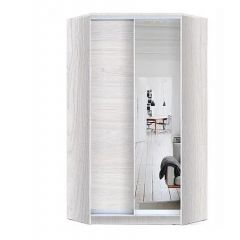 Шкаф-купе ХИТ-У-L-24-64-15 в Пуровске - purovsk.mebel24.online | фото 6