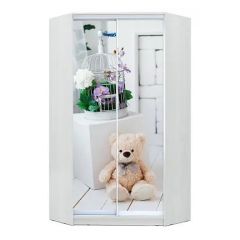 Шкаф-купе ХИТ-У-L-24-64-77 в Пуровске - purovsk.mebel24.online | фото