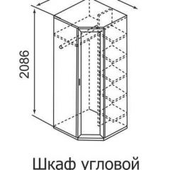 Шкаф угловой для одежды Ника-Люкс 30 с зеркалами в Пуровске - purovsk.mebel24.online | фото 3