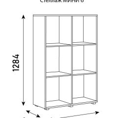 Стеллаж Мини 6 в Пуровске - purovsk.mebel24.online | фото 6