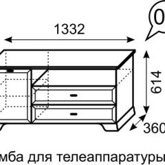 Тумба для телеаппаратуры Венеция 6 бодега в Пуровске - purovsk.mebel24.online | фото 2