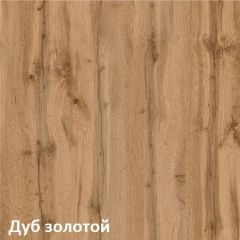 Вуди Шкаф для одежды 13.138 в Пуровске - purovsk.mebel24.online | фото 4