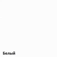 Вуди Шкаф для одежды 13.138 в Пуровске - purovsk.mebel24.online | фото 5