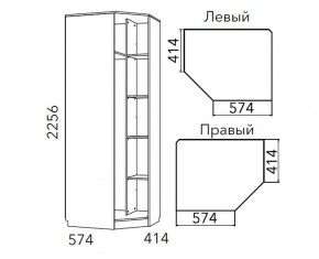 Детская Фанк Шкаф угловой Левый/Правый НМ 013.04-02 М в Пуровске - purovsk.mebel24.online | фото 3