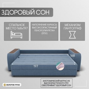 Диван Сенатор-1 (ППУ) в Пуровске - purovsk.mebel24.online | фото 3