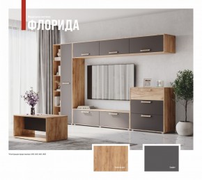 ФЛОРИДА Гостиная (модульная) дуб золотой/графит в Пуровске - purovsk.mebel24.online | фото