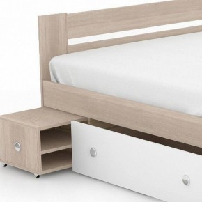 Кровать двуспальная Стелла 160 в Пуровске - purovsk.mebel24.online | фото 3