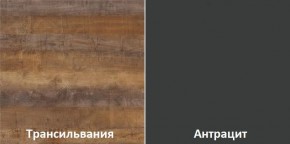 Кухонный гарнитур угловой Трансильвания 2400x1600 мм (Стол. 38 мм) в Пуровске - purovsk.mebel24.online | фото 3
