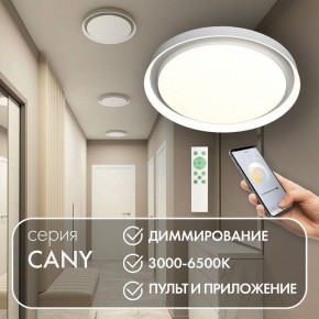 Накладной светильник Denkirs Cany DK6516-WH в Пуровске - purovsk.mebel24.online | фото 5