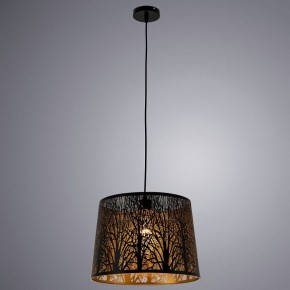 Подвесной светильник Arte Lamp Celesta A2769SP-1BK в Пуровске - purovsk.mebel24.online | фото 3