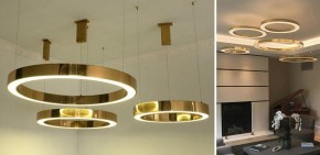 Подвесной светильник Imperiumloft Light Ring Horizontal 40.1454-100 в Пуровске - purovsk.mebel24.online | фото 2