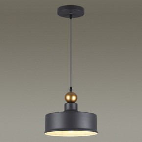 Подвесной светильник Odeon Light Bolli 4088/1 в Пуровске - purovsk.mebel24.online | фото 4