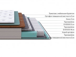 PROxSON Матрас Elysium Firm (Трикотаж Spiral-RT) 120x200 в Пуровске - purovsk.mebel24.online | фото 2