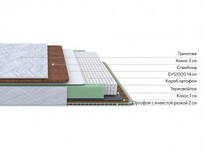 PROxSON Матрас Green Duo M/F (Tricotage Dream) 120x195 в Пуровске - purovsk.mebel24.online | фото 2