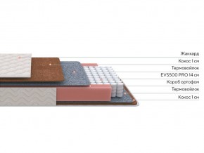 PROxSON Матрас Standart F Roll (Ткань Синтетический жаккард) 120x200 в Пуровске - purovsk.mebel24.online | фото 2