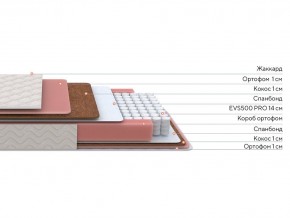 PROxSON Матрас Standart Plus M Roll (Ткань Жаккард) 160x190 в Пуровске - purovsk.mebel24.online | фото 2