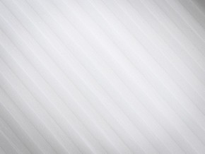 PROxSON Подушка Terra Ergo (Страйп сатин) 40x60 в Пуровске - purovsk.mebel24.online | фото 8