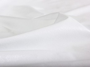 PROxSON Защитный чехол Aqua Save Light Top (Ткань влагостойкая Tencel Jersey) 120x200 в Пуровске - purovsk.mebel24.online | фото 5