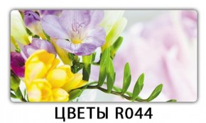 Раздвижной СТ Бриз орхидея R041 Доска D110 в Пуровске - purovsk.mebel24.online | фото 12