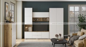 МИЛАН-1 Секция ТВ (ЦРК.МЛН.01 секция ТВ) в Пуровске - purovsk.mebel24.online | фото 3