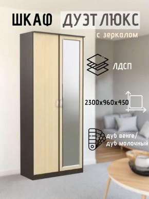 Шкаф 2-х створчатый Дуэт Люкс с зеркалом в Пуровске - purovsk.mebel24.online | фото