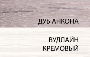 Шкаф 2DG, OLIVIA, цвет вудлайн крем/дуб анкона в Пуровске - purovsk.mebel24.online | фото 3