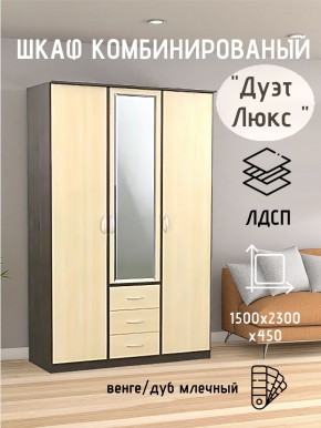 Шкаф комбинированный Дуэт Люкс с зеркалом в Пуровске - purovsk.mebel24.online | фото 3