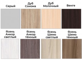 Шкаф-купе ХИТ 22-4-14-88 (420) в Пуровске - purovsk.mebel24.online | фото 3